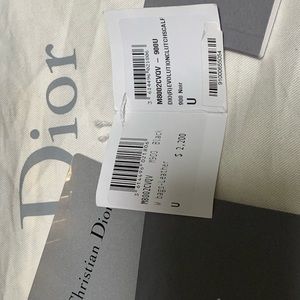 Dior (R)evolution mini bag
